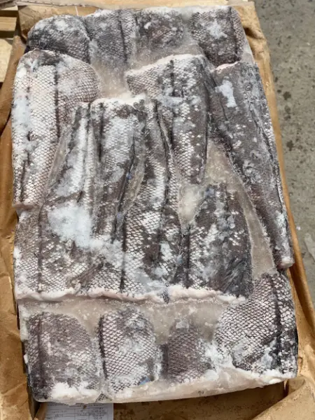 [8-20] Макрурус ПБГ