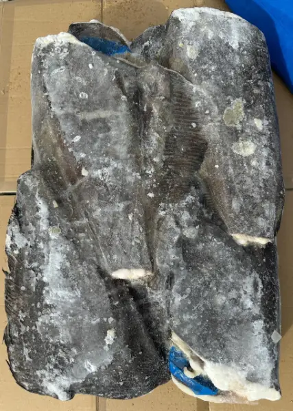 [8-26] Палтус  СК (1-2кг), 1кг