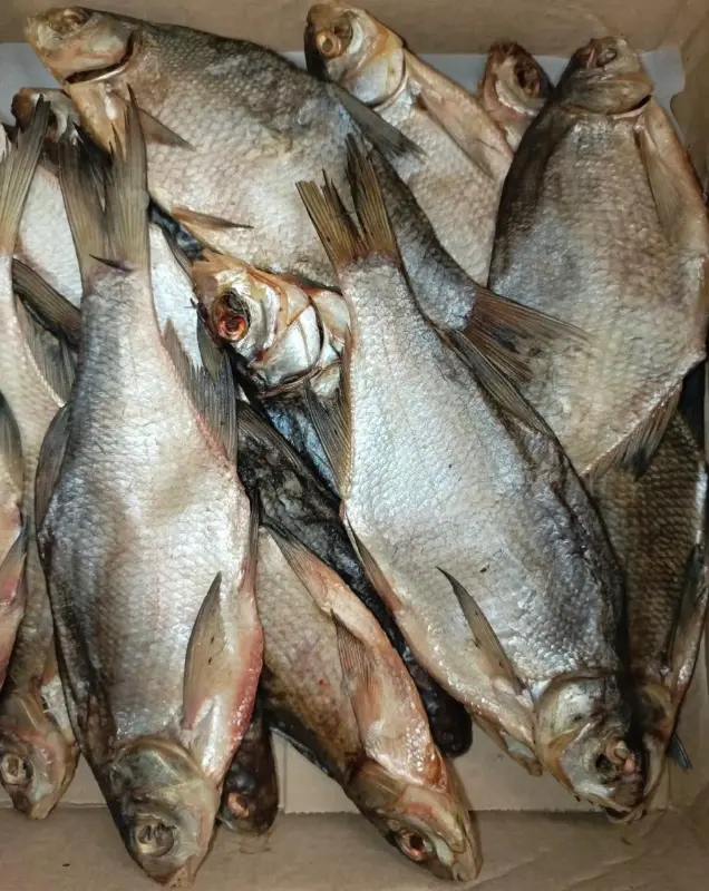 [15-26] Лещ вяленый, жирный 1кг