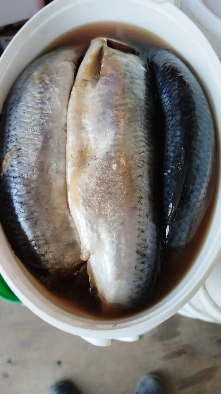 Сельдь Олюторская 1/4 кг