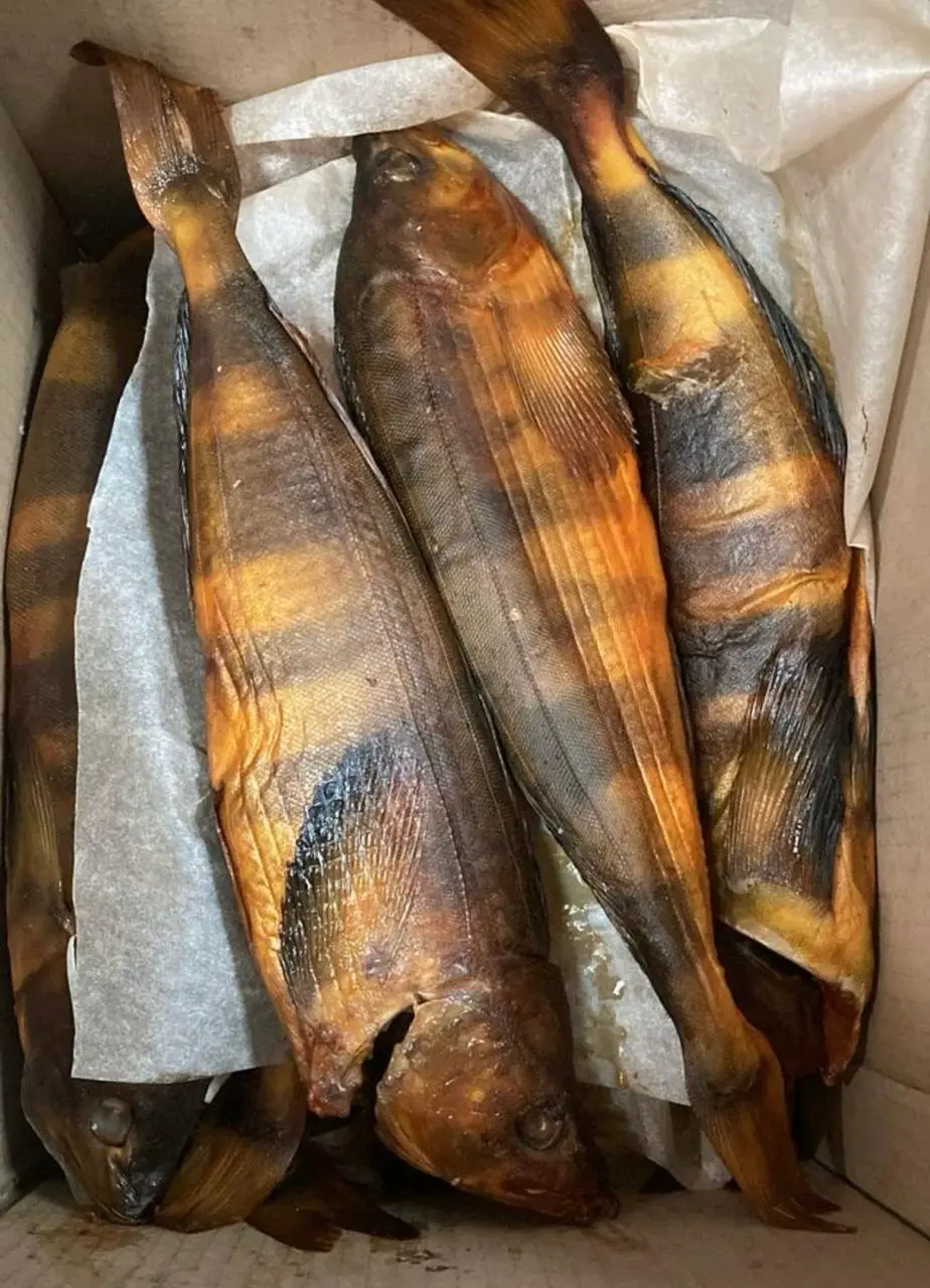 Терпуг х/х, 1кг