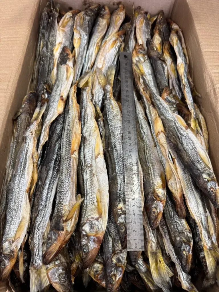 Зубатка вяленая 23+ (Владивосток), 1 кг