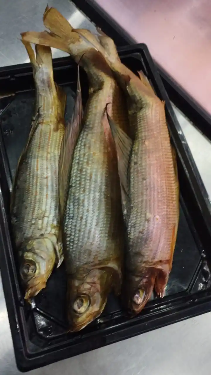 [7-187] Хариус п/к, 1кг