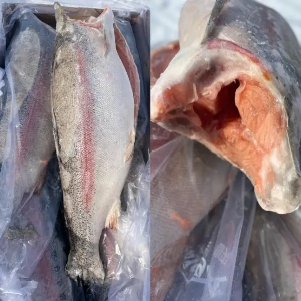 [3-507] Нерка ПБГ блок