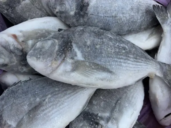 [3-454] Дорадо для гриля,1кг