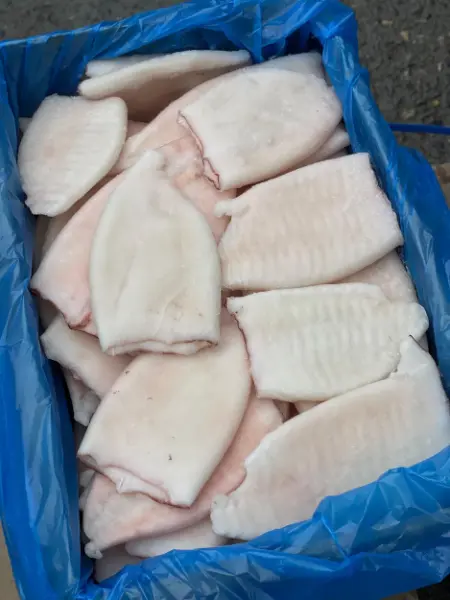 Кальмар категория А, Приморье 1/5