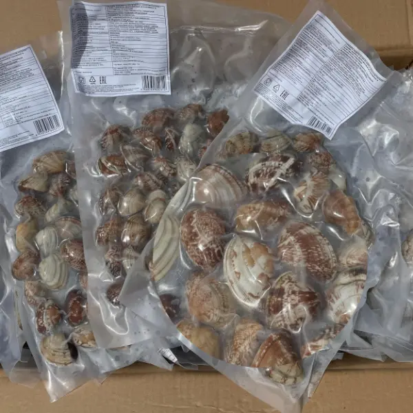 [3-342] Клемы Вонголе в раковине 31/40