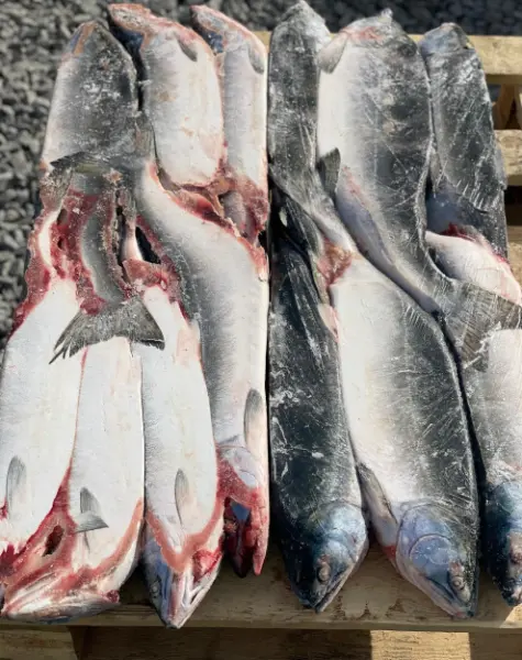 [3-148] Горбуша НР
2025